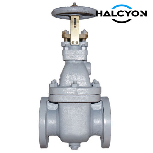 JIS 5K Cast Iron Gate valves